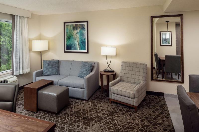 One-Bedroom King Suite - Non-Smoking image 4