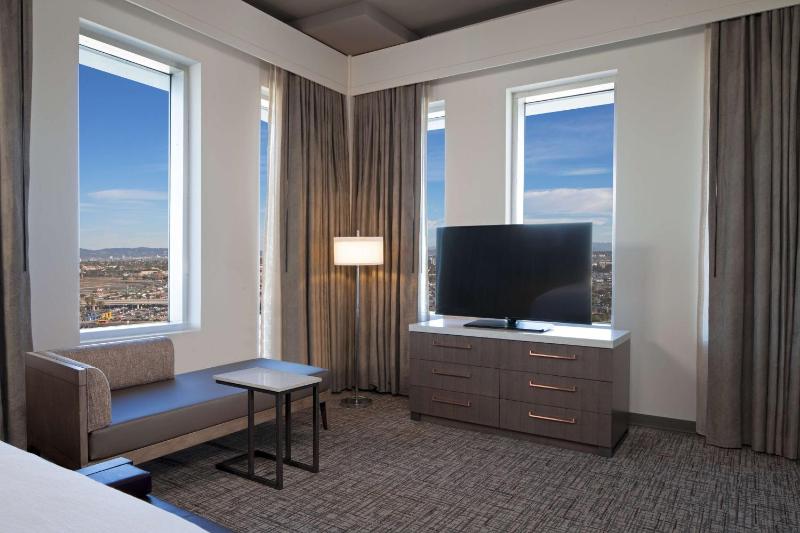 Deluxe King Suite image 4