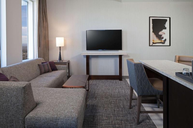 Deluxe King Suite image 3