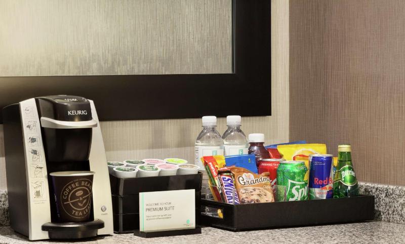 Premium King Suite image 4