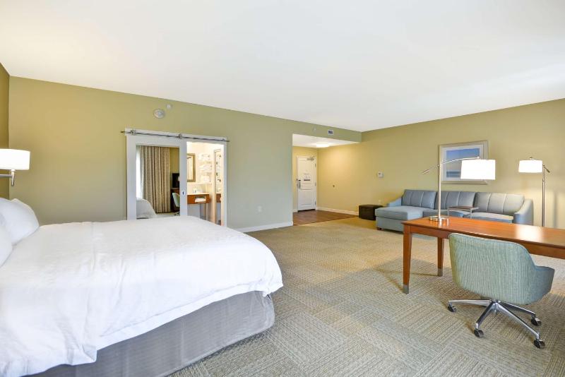 King Studio Suite with Sofa Bed - Hearing Access/Non-Smoking image 3