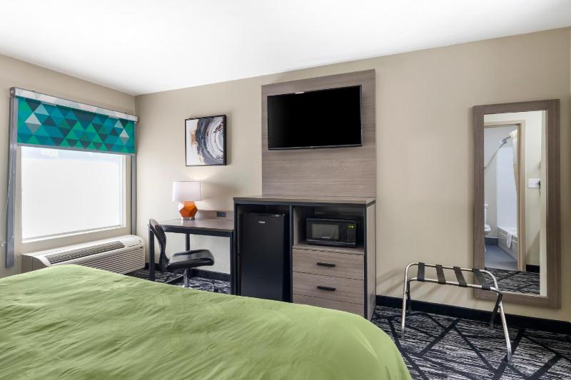 King Room - Accessible/Smoking