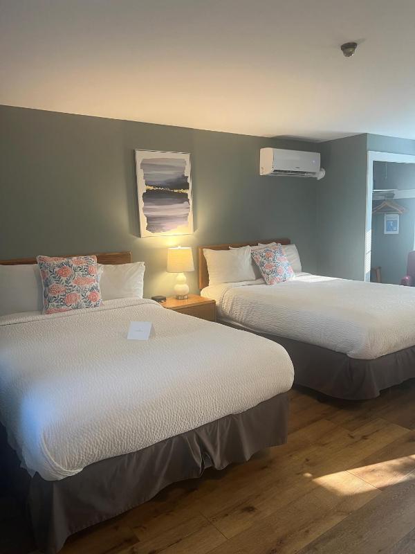 Standard Double Room image 3