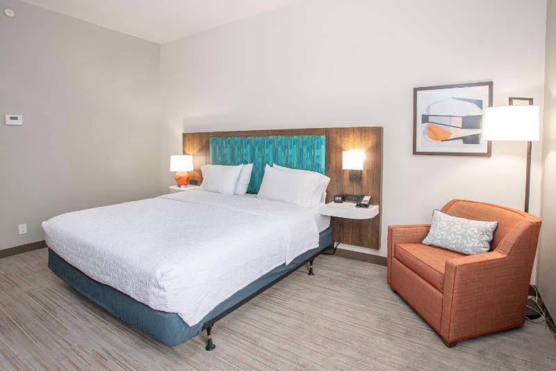King Room with Roll-In Shower - Mobility and Hearing Access/Non-Smoking image 1
