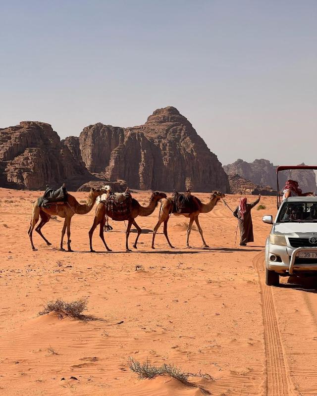 Wadi Rum Bubble Camp - image 7