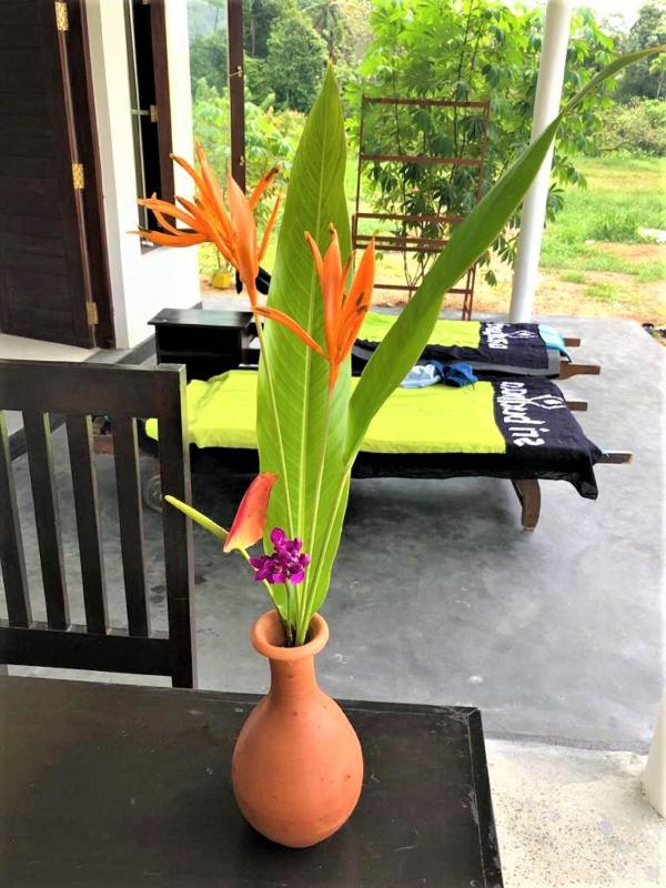 Suwetha villa Ayurveda Resort - image 11