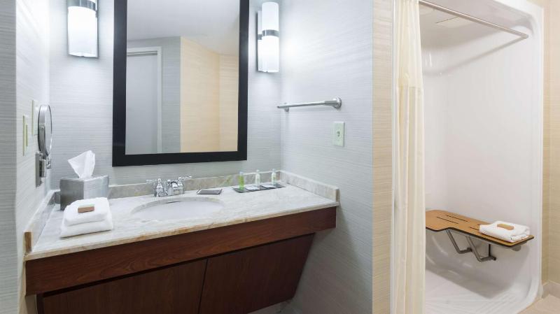 One-Bedroom King Suite - Disability Access image 3