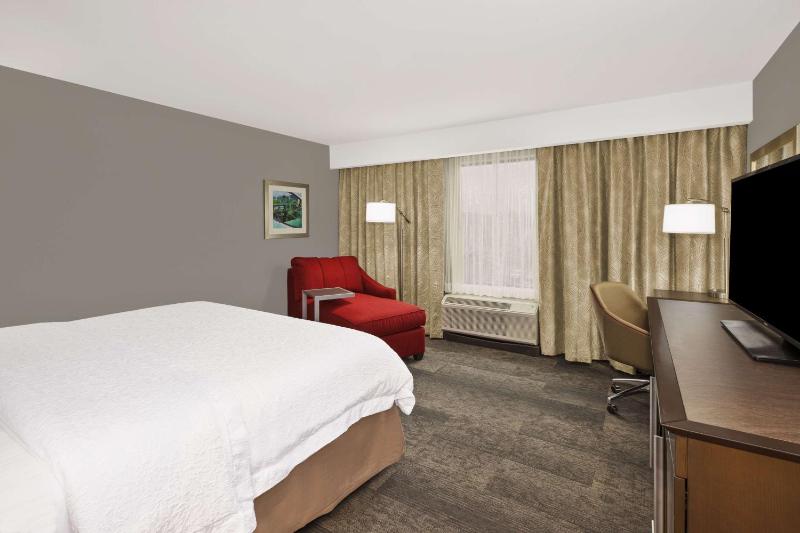 King Room with Accessible Tub - Mobility and Hearing Access/Non-Smoking image 3