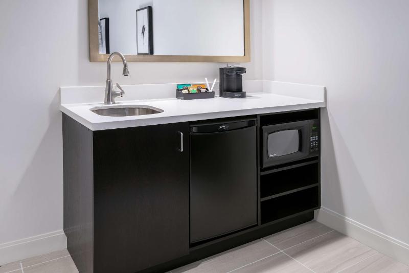 King Studio Suite image 4