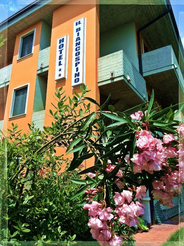 Albergo Il Biancospino - image 16