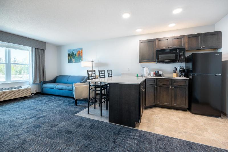 Deluxe King Suite image 1