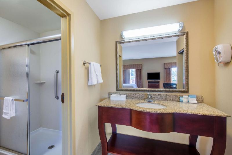 One-Bedroom King Suite with Whirlpool - Non-Smoking  image 2