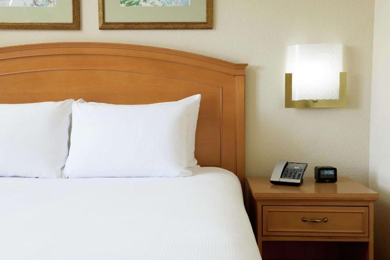 King Suite with Sofa Bed image 3