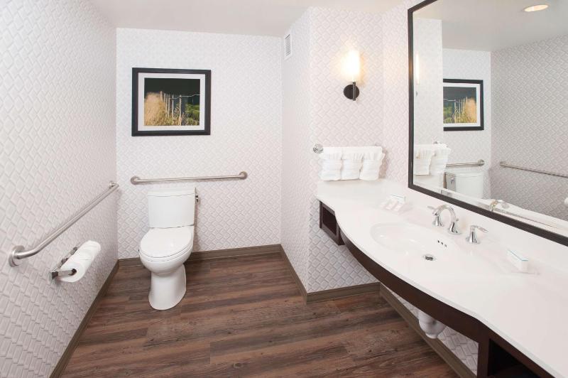 King Suite - Disability Access Hearing Accessible Roll-In Shower image 3