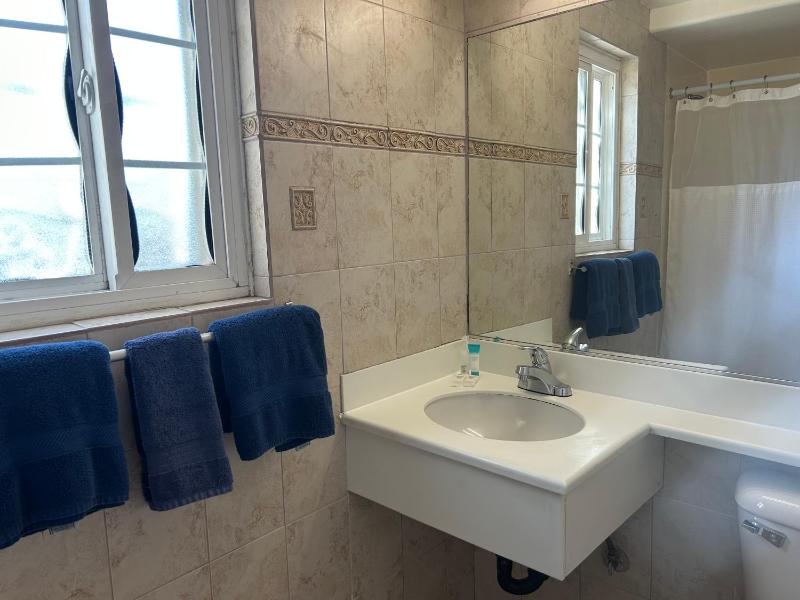 Standard Double Room image 4