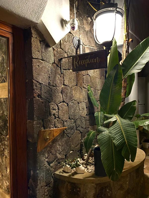 Black Market Hotel - image 24