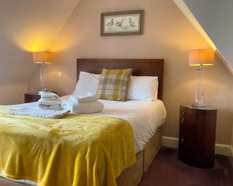 Superior Suite image 4