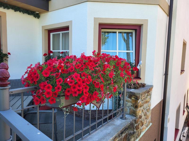 Hotel Garni Landhaus Trenkenbach - image 31