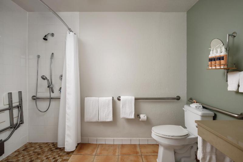 King Room with Accessible Shower image 2
