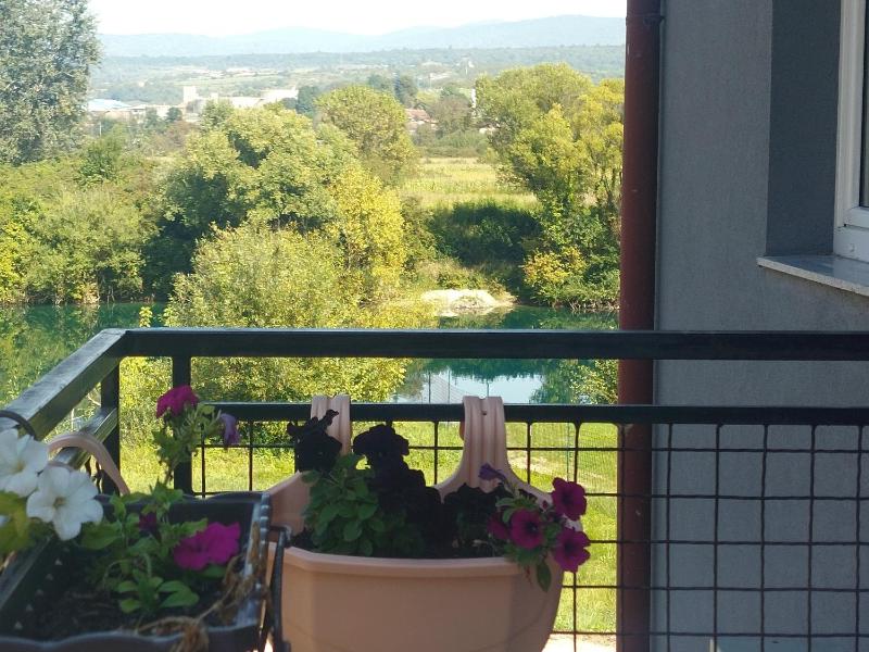 Apartments Window - image 14