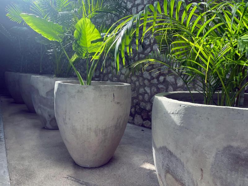 BAU Tulum - image 34