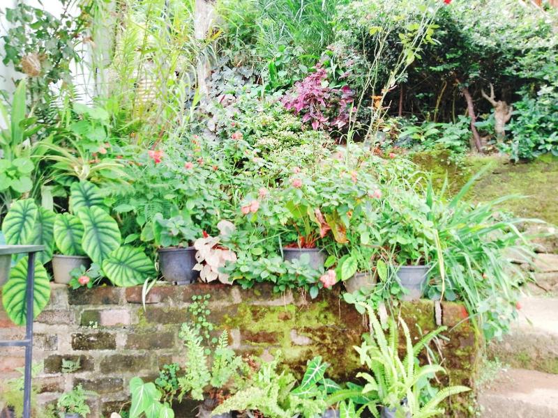 Saddle Cottage - image 28