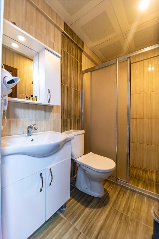 Standard Double or Twin Room image 4