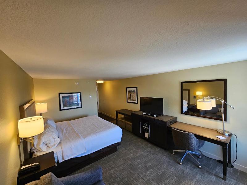 King Room with Sofa Bed - Non-Smoking image 4