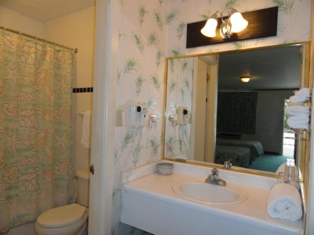 Deluxe Double Room image 3