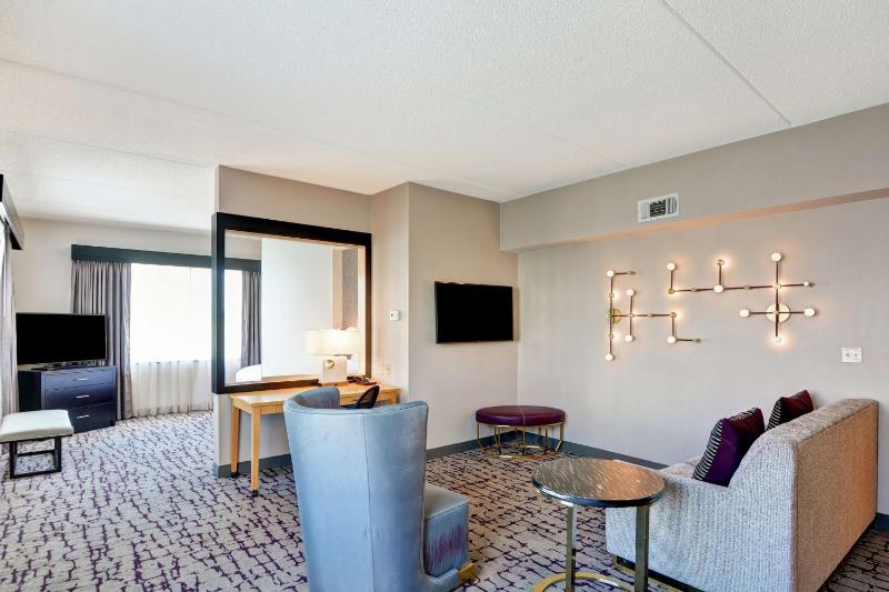 Large King Room with Sofa Bed - Non-Smoking image 4