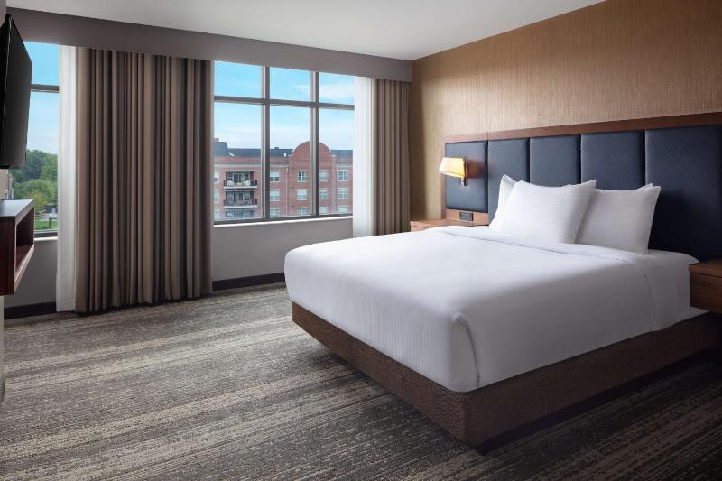 Two-Room King Suite image 3