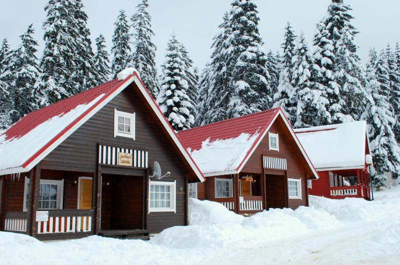 Three-Bedroom Villa image 2