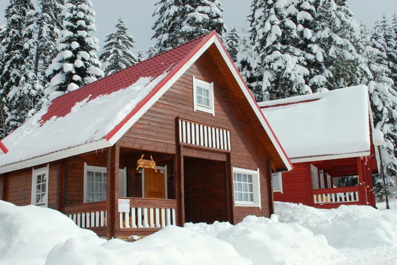 Three-Bedroom Villa image 3