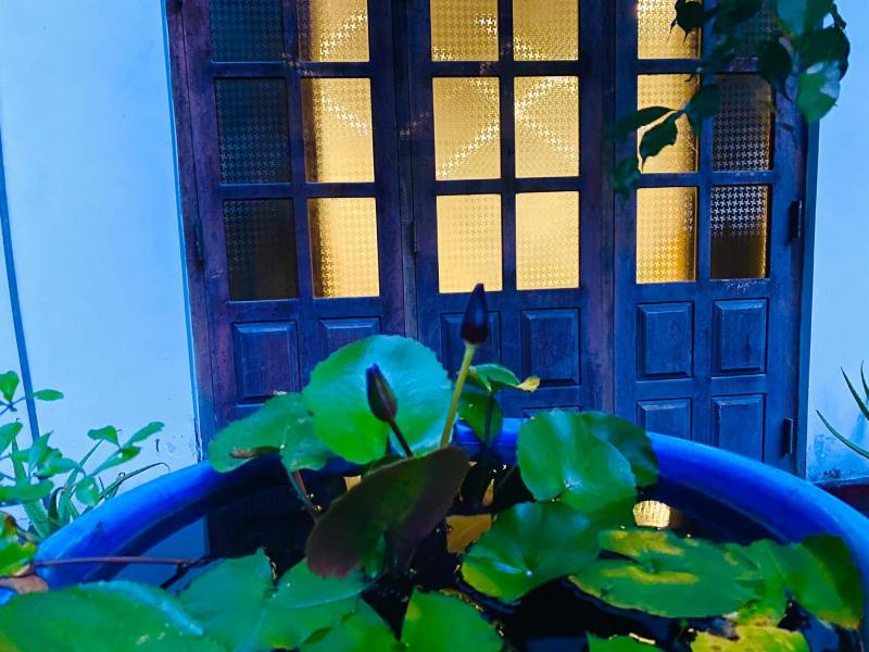Sachi's place - image 18