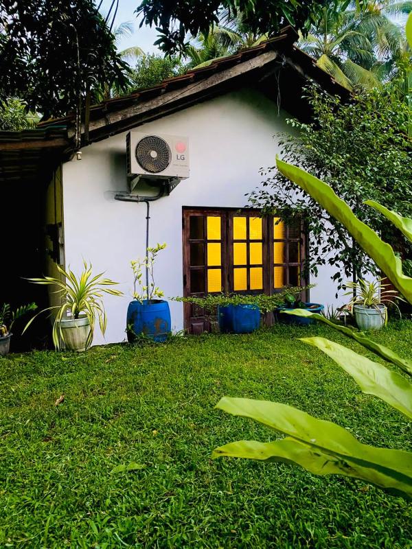 Sachi's place - image 13