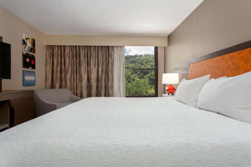 One-Bedroom King Suite - Non-Smoking image 3