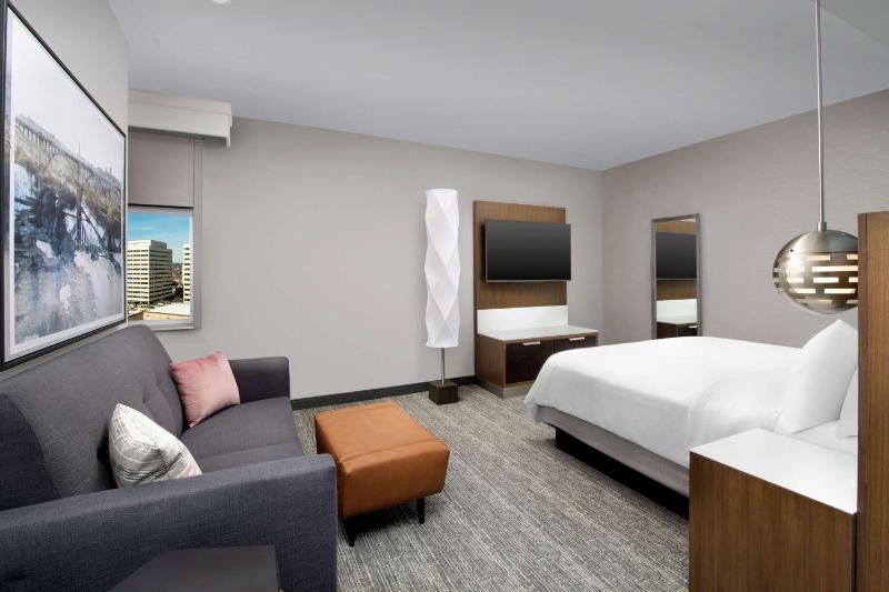 King Studio Suite image 3