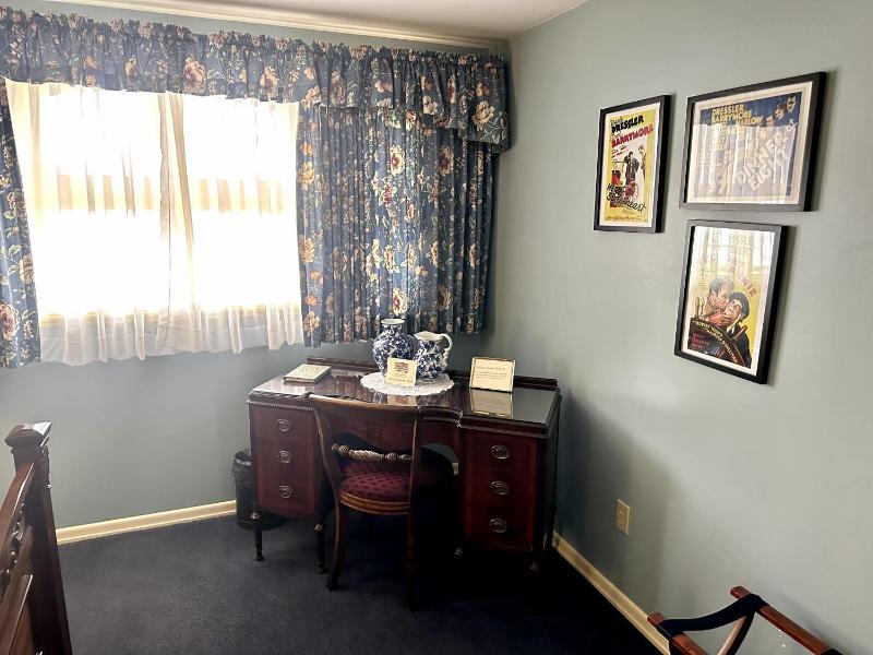 Deluxe King Suite image 3