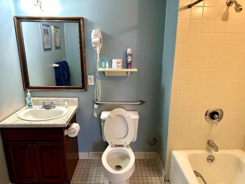 Deluxe King Suite image 4