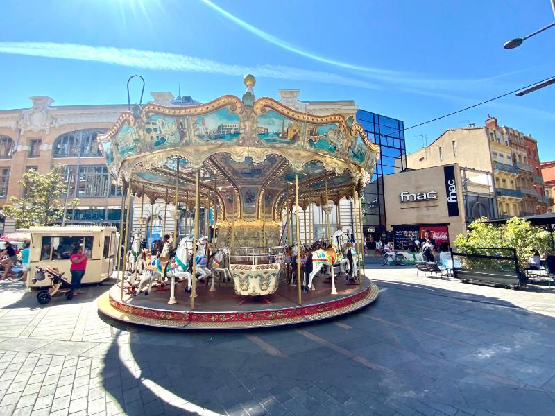 Le Chaland - En hypercentre de Toulouse - image 15