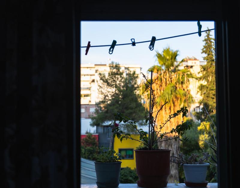 Tranquil Urban Space - image 13