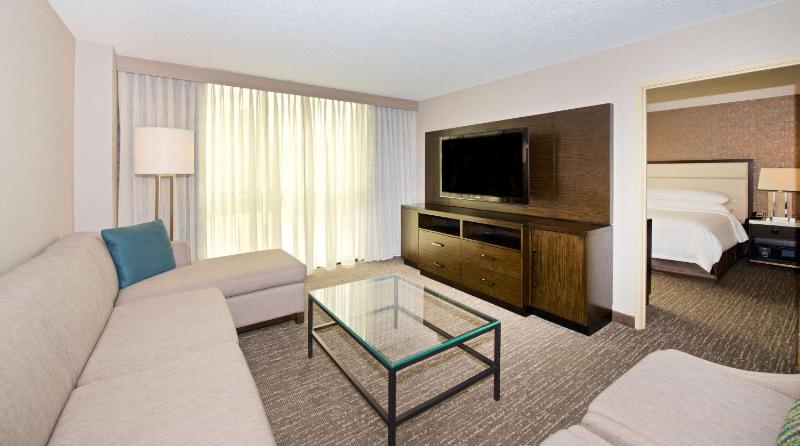 Deluxe King Suite image 4