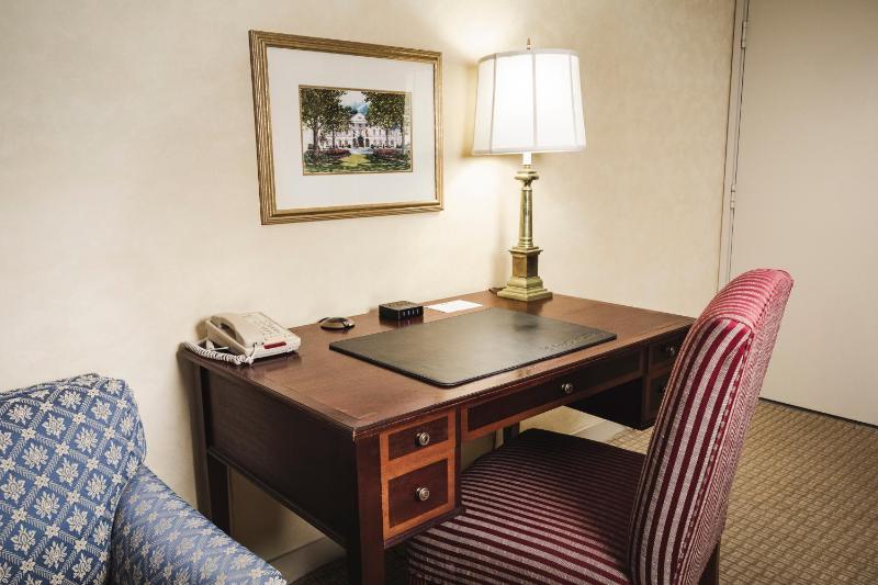 Deluxe King Room image 3