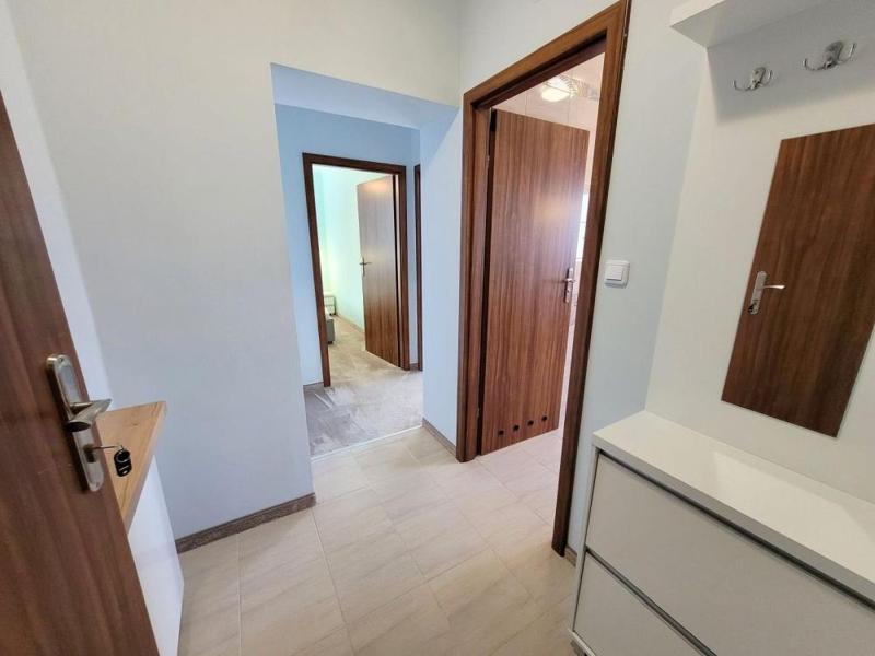 One-Bedroom Apartment image 4