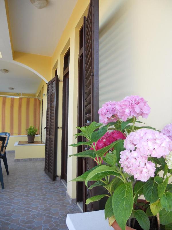 One-Bedroom Apartment image 2