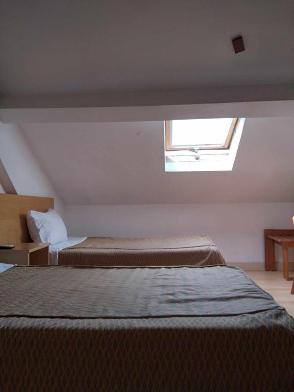 Attic Economy Twin Room image 4