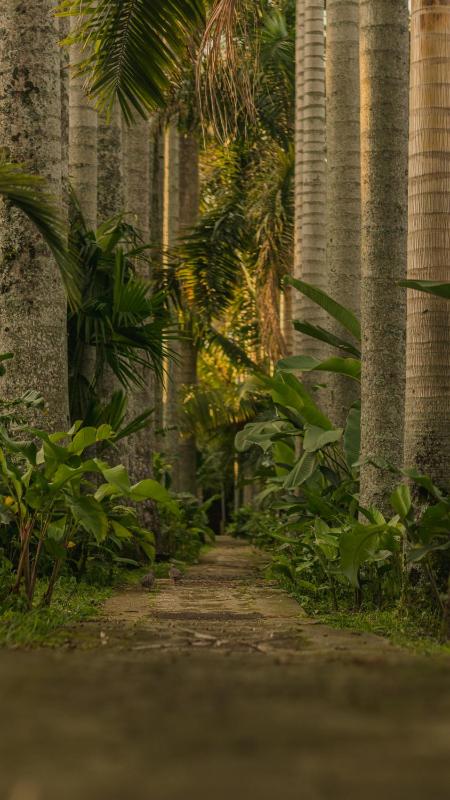 Rancho Eden - image 10