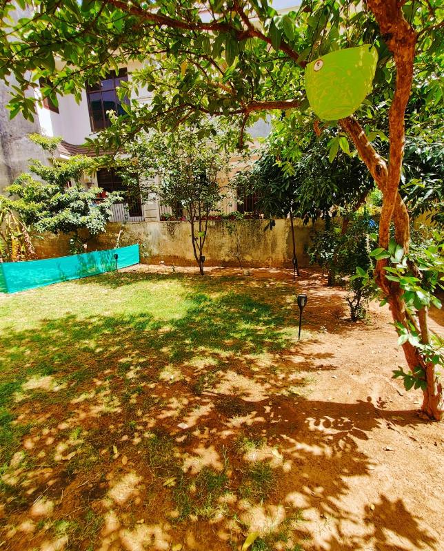 Tranquil Abode - image 12
