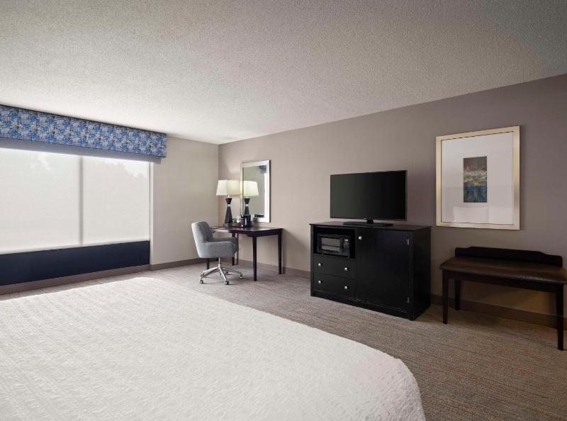 King Suite with Roll-In Shower - Mobility and Hearing Access/Non-Smoking image 3