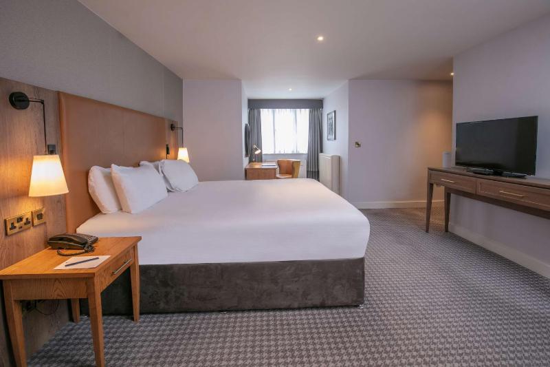 Deluxe King Room image 4